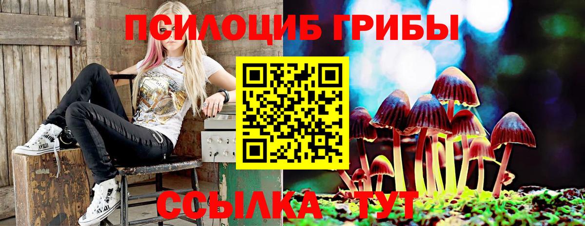 Псилоцибиновые грибы GOLDEN TEACHER  Псилоцибиновые грибы Magic Shrooms  Нижневартовск  Вход с VPN 